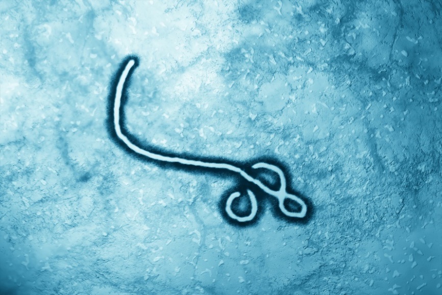 Ebola-virus mikroskoopilla