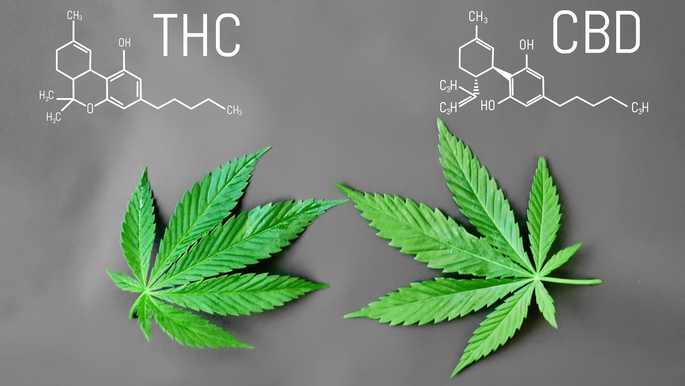 THC- ja CBD-molekyyli