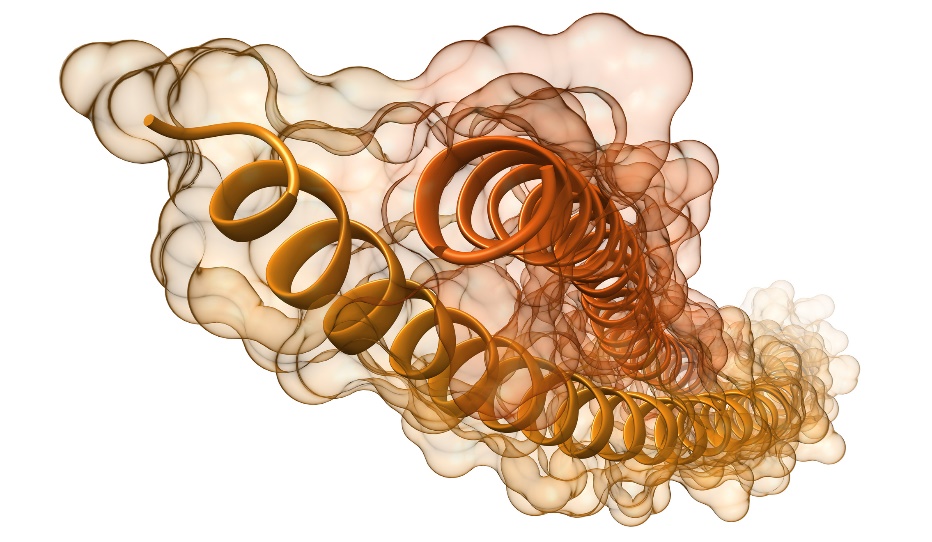 Keratiiniproteiinifilamenttien ja heliksien visualisointi