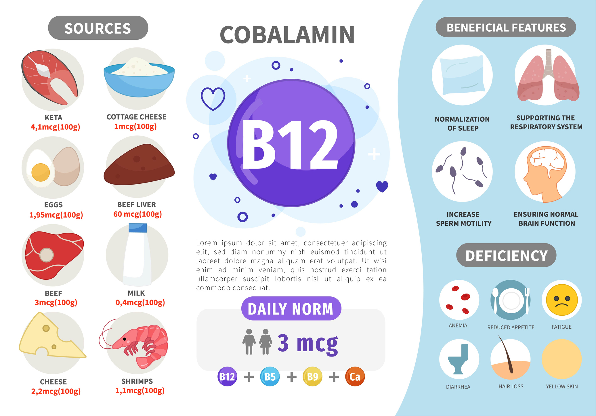 B12-vitamiinin lähteet