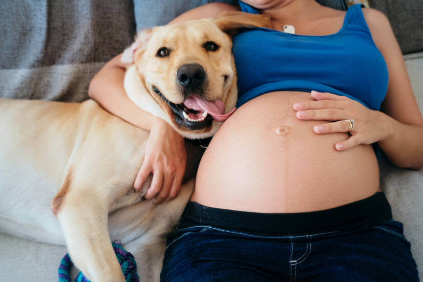 Raskaana oleva nainen ja lemmikkieläimet. Kuvalähde: Getty Images